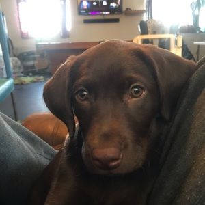 Meet your Posher, John